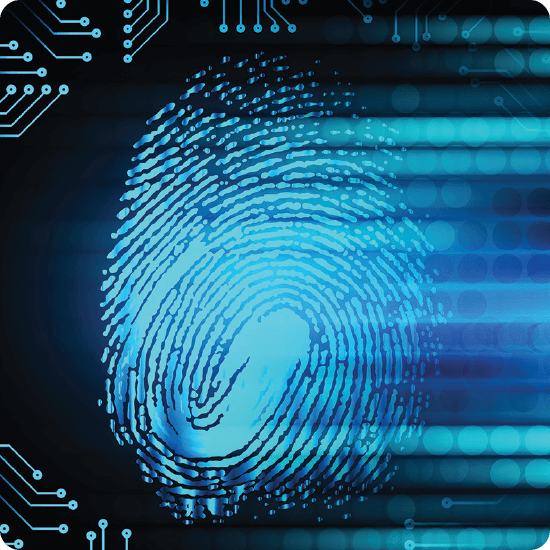 Digital biometric fingerprint